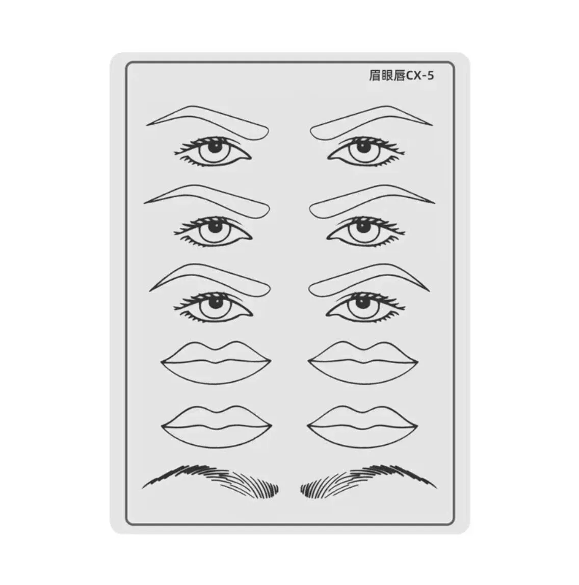 Kalıcı Makyaj & Microblading Mix Eğitim Lateksi