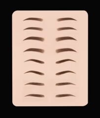 Kalıcı Makyaj & Microblading Boş Eğitim Lateksi